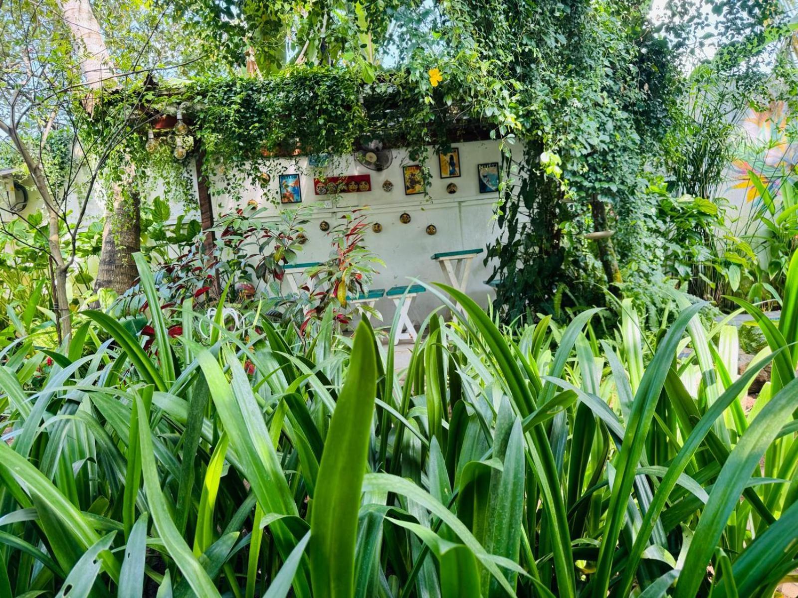 Double Mango Villa كاتوناياكى المظهر الخارجي الصورة